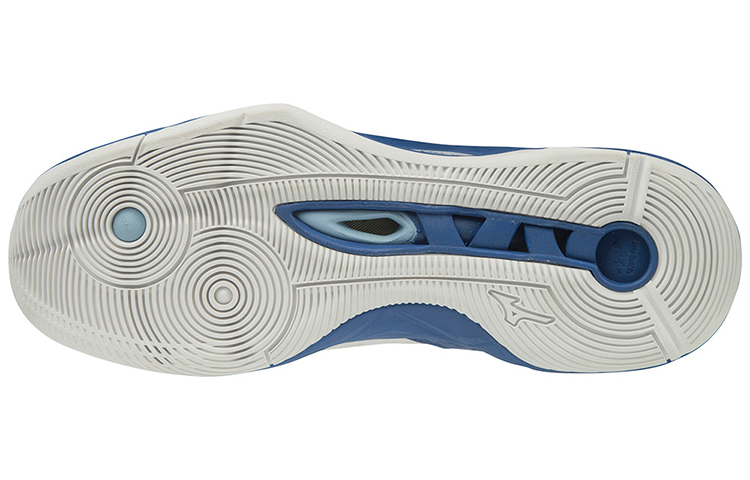 Shop Mizuno Wave Momentum 2 透氣耐磨防滑排球鞋 男女同款 白藍