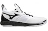 Order Mizuno Wave Momentum 2 'Putih' V1GA211209