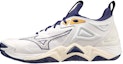 Buy Mizuno Wave Momentum 3 'Putih Pita Biru' V1GA231243
