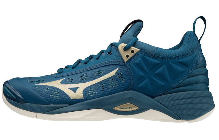 Mizuno Wave Momentum 'Blue' V1GA191251