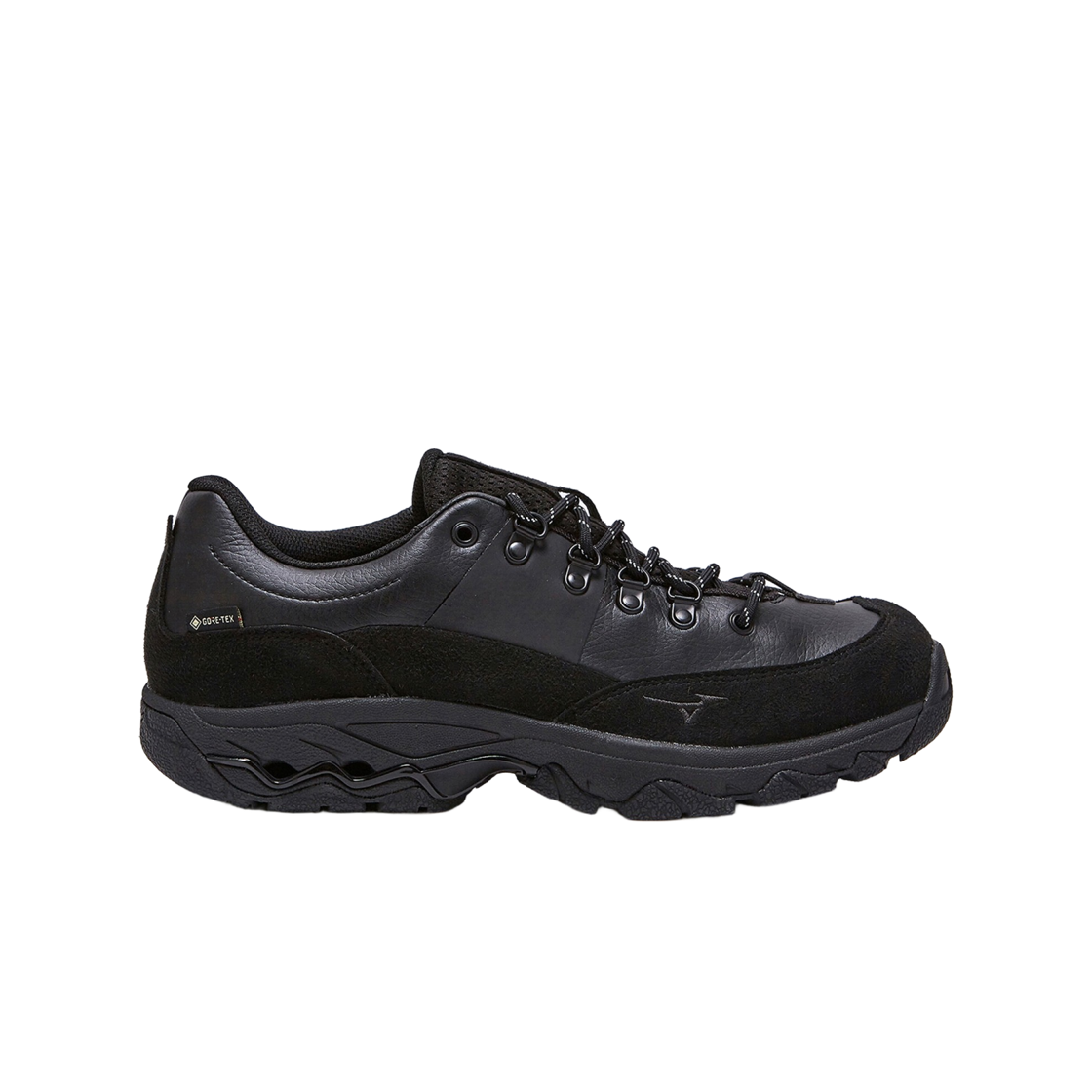 Mizuno Wave OD GORE-TEX 'Black' B1GA250009