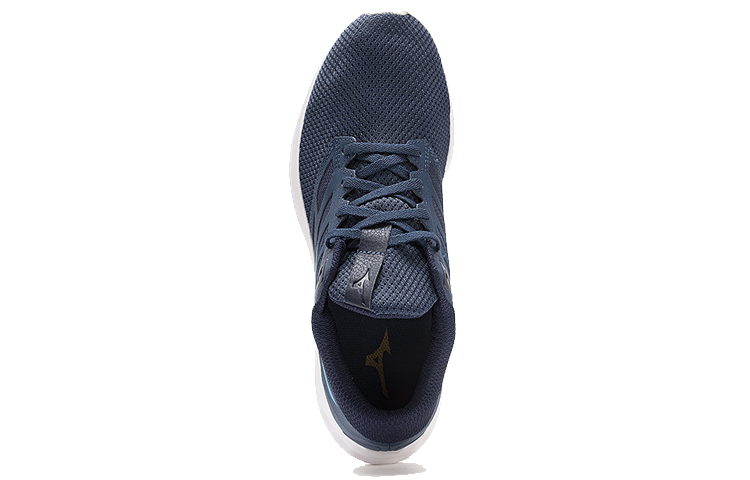 Purchase Mizuno Wave Polaris EZ ''Bleu'' J1GC198225