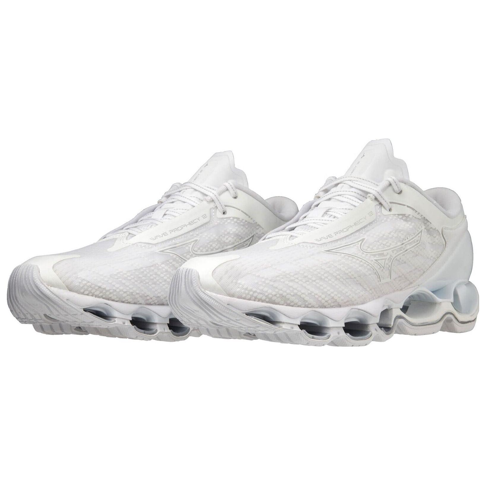 Shop Mizuno Wave Prophecy 12 ''Grijs'' J1GC2383