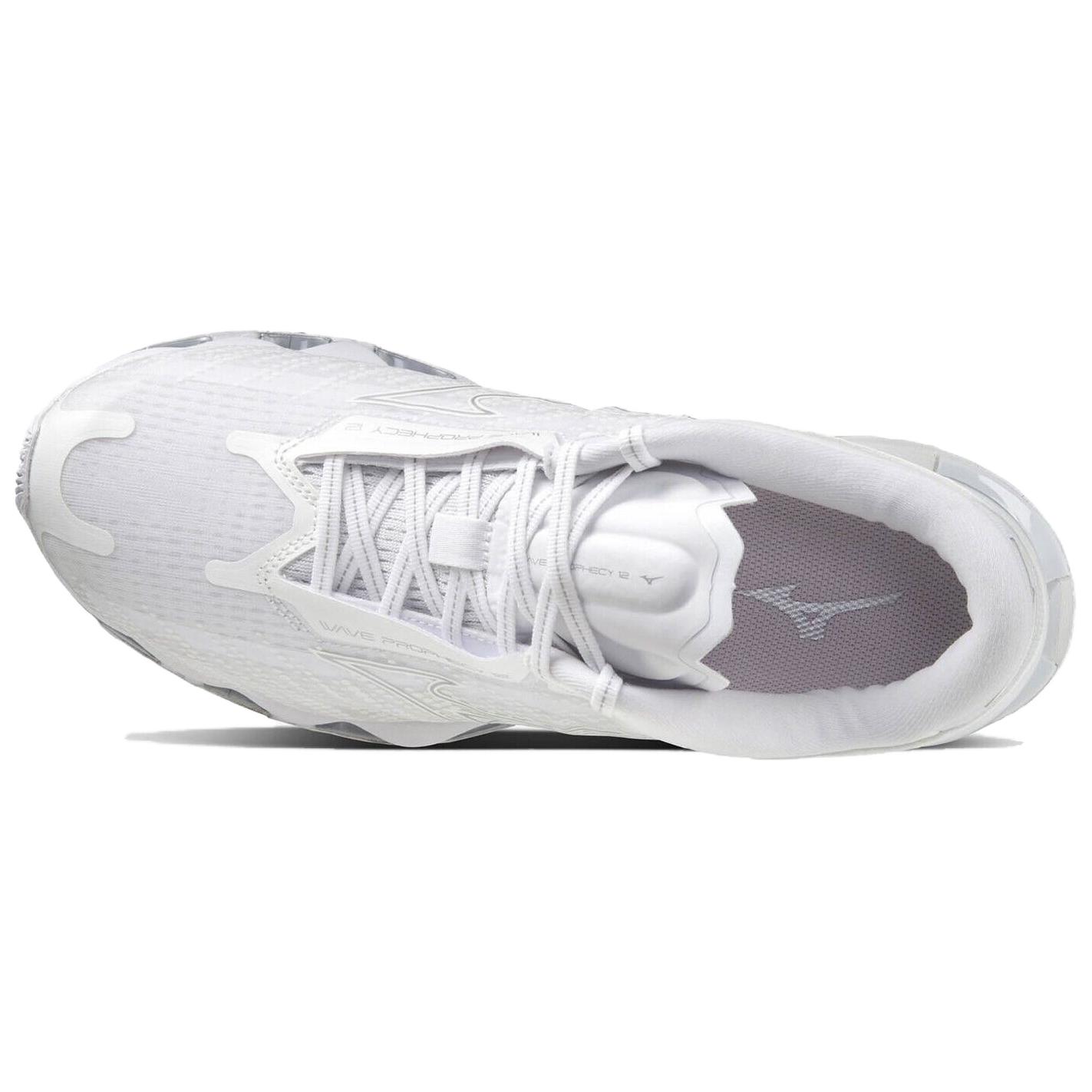 Details for Mizuno Wave Prophecy 12 ''Grijs'' J1GC2383