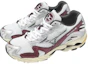Order Mizuno Wave Rider 10『銀紅配色』 D1GA243114