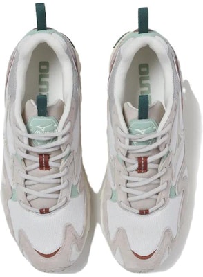 Mizuno Wave Rider 10 Premium 'Silver Cloud White Sand' D1GA242601 Shop Mizuno Wave Rider 10 Premium 'Silver Cloud White Sand' D1GA242601