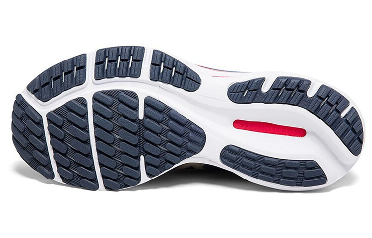 Purchase Mizuno Wave Rider 24 'Blue Red' J1GC200343