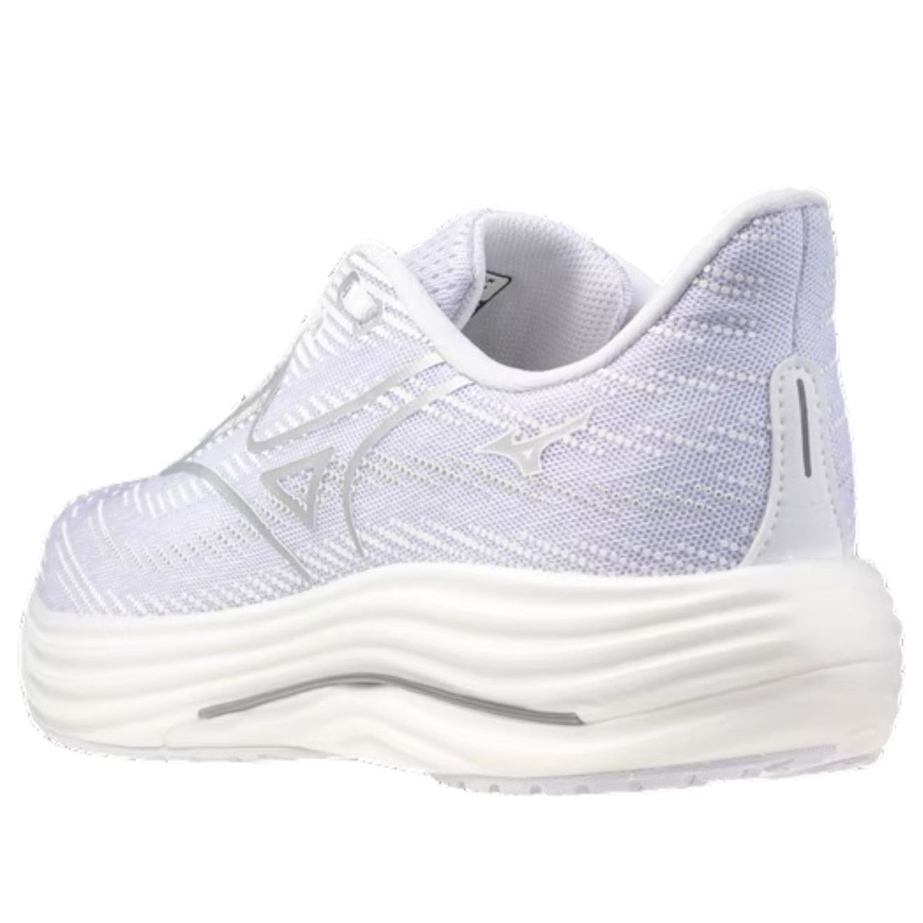Order Mizuno Wave Rider 29 'Blanco Plata' J1GC250304