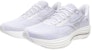 Mizuno Wave Rider 29 'White Silver' J1GC250304
