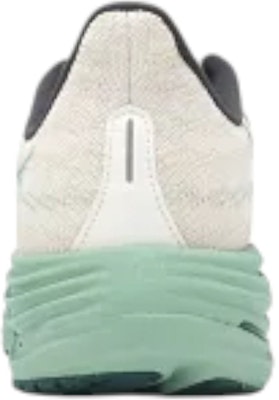 Mizuno Wave Rider 29 Super Wide 'White Bistro Green' J1GC250409 Lookbook Mizuno Wave Rider 29 Super Wide 'White Bistro Green' J1GC250409