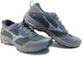 Purchase Mizuno Wave Rider Gore-Tex 2E Wide 'Iron Gate Fuchsia' Lelaki Perempuan. J1GD218022