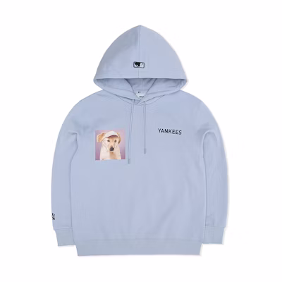 MLB New York Yankees Light Blue Hoodie Pullover Unisex Casual Sweatshirt 3AHDN0226-50BLL