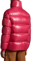 Details for Moncler Dervox FW23 Pink Lightweight Puffer Jacket Unisex with Logo High Collar. I20911A00165595GJ560