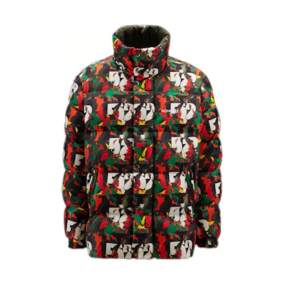 Moncler FW22 All-Over Print Zipper Down Jacket Multicolor H20921A00041M2147S84