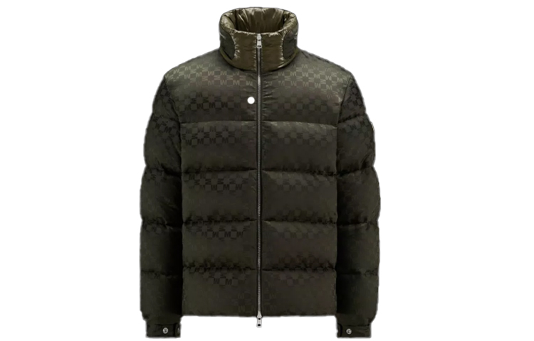 Moncler FW22 Solid Logo High Collar Down Jacket Green (). H20911A00206596C0888