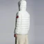 Shop MONCLER GENIUS SS22 1952 Hissu白色短款羽絨外套 - 連帽標誌款式 H10921A00035M1480036