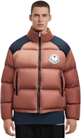 Cheap MONCLER GENIUS x PALM ANGELS FW22 Nevin Quilted Down Jacket Brown Unisex. H209L1A00002M2341370