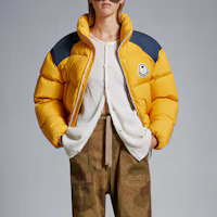 Purchase MONCLER GENIUS x PALM ANGELS FW23 Retro Puffer Jacket Unisex Yellow/Blue. I209L1A00017M3377F17