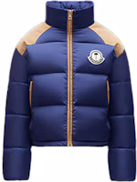 Order Moncler Genius x Palm Angels Logo Stand Collar Down Jacket Unisex. G209L1A00015M1352738