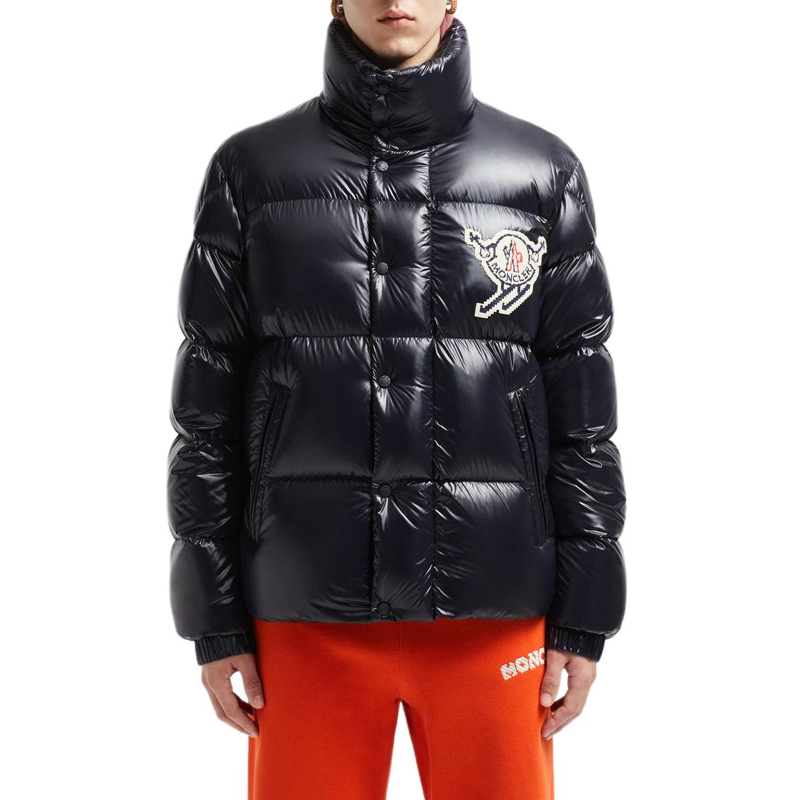 Moncler Leste Short Down Jacket Glossy Elastic Stand Collar Unisex Style. J20911A00118595GJ999 圖 4