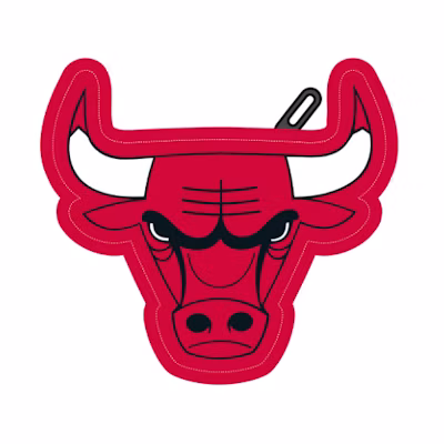 NBA Chicago Bulls Coin Purse - A