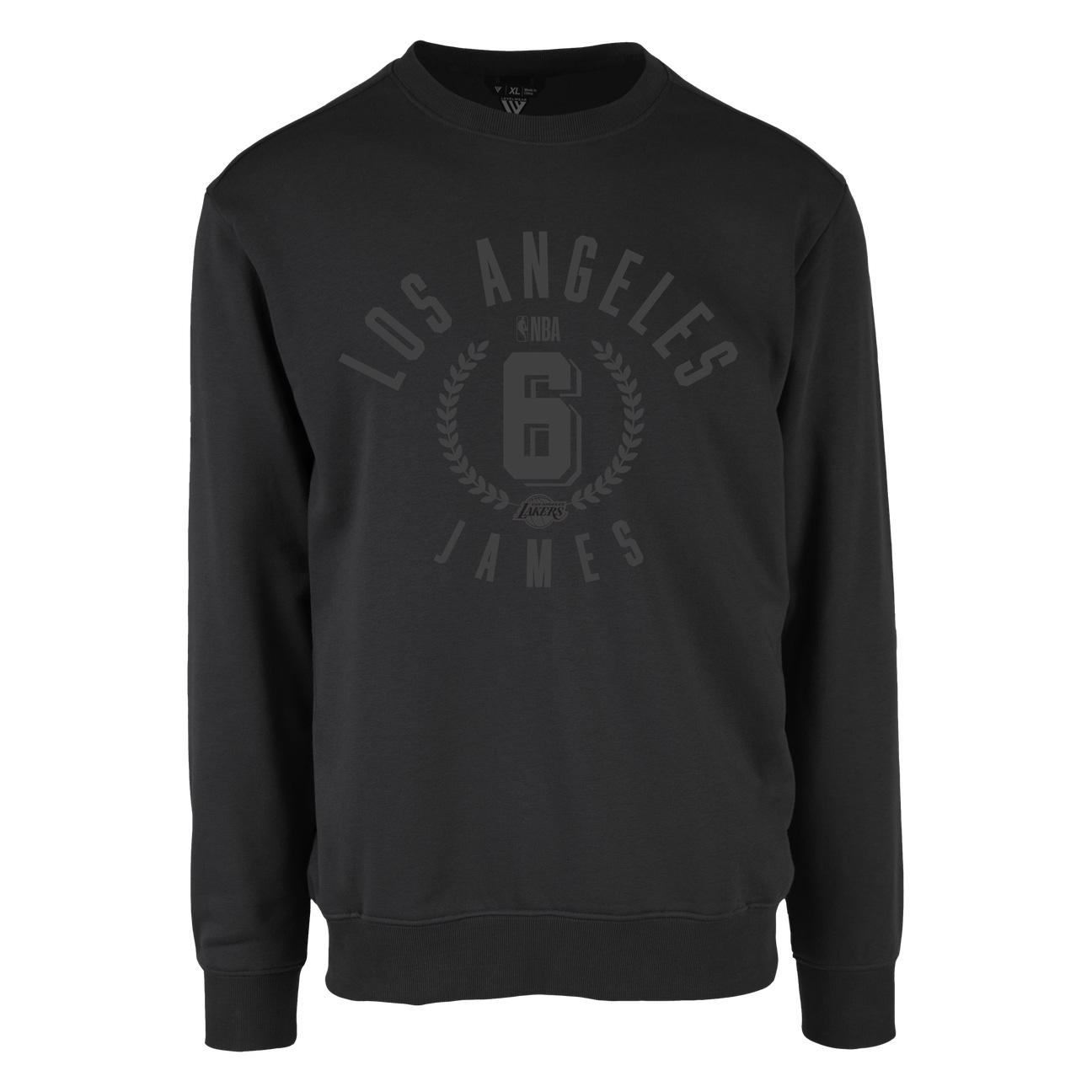 NBA Growth Series Los Angeles Lakers LeBron James Black Loose Fit Sweatshirt LWAPHO22CR13078LAL