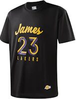 NBA Lakers LeBron Moisture-Wicking Basketball Training T-Shirt Unisex Black APTEE00628LALLBJ01 NBA Lakers LeBron Moisture-Wicking Basketball Training T-Shirt Unisex Black APTEE00628LALLBJ01
