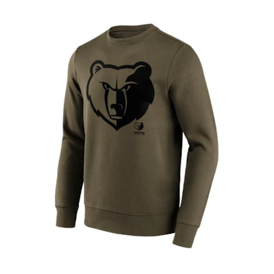 NBA Memphis Grizzlies Crewneck Pullover Animal Graphic Long Sleeve Sweatshirt Green 201426736