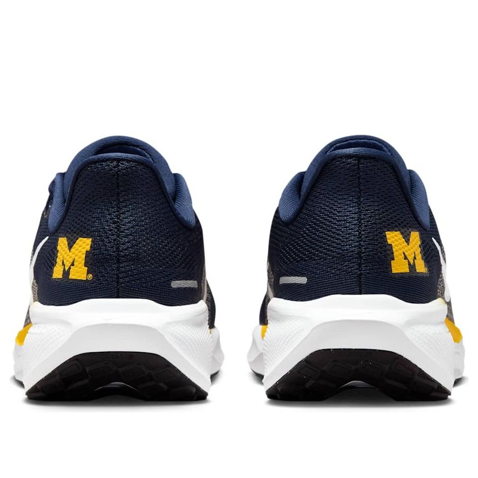 Lookbook NCAA x Nike Air Zoom Pegasus 41 'Michigan' Zapatillas Deportivas IB3269-400