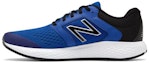 Buy New Balance 520 v5 'Azul' M520SE5