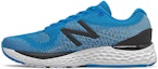 Buy New Balance Fresh Foam 880v10 'Vision Blue' Biru M880B10