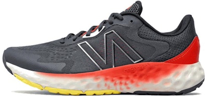 Labiya azosi Ayol mushuklarining tasnifi