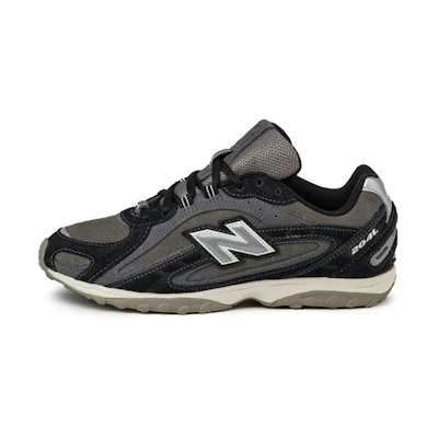 NB Nike Dunk Low Retro "Wolf Grey" 204L
