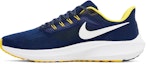 Lookbook NFL x Nike Air Zoom Pegasus 39 'Los Angeles Rams' Lelaki/Kasut Sukan DR2051-400