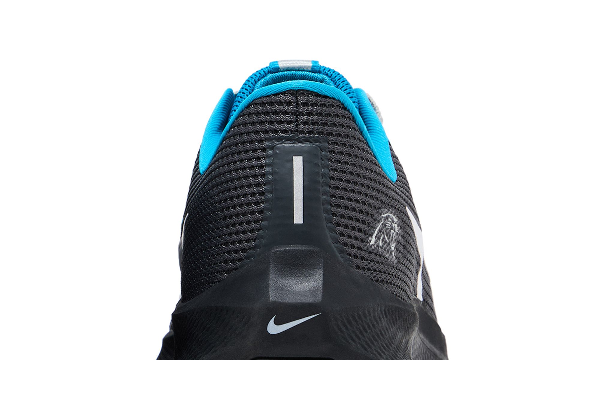 Sizing NFL×ナイキ エア ズーム ペガサス 40 "パンサーズ" DZ6010-001