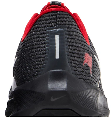 NFL x 나이키 에어 줌 페가수스 40 '탬파베이 버커니어스' DZ5995-001 Sizing NFL x 나이키 에어 줌 페가수스 40 '탬파베이 버커니어스' DZ5995-001