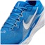 Sizing NFL x Nike Air Zoom Pegasus 41 'Detroit Lions' Sepatu Lari FZ5087-400