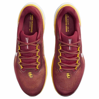 NFL x Nike Air Zoom Pegasus 41 'San Francisco 49ers' FZ5070-600 Lookbook NFL x Nike Air Zoom Pegasus 41 'San Francisco 49ers' FZ5070-600