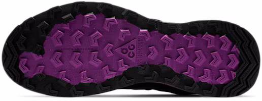 Sizing ナイキ ACG エア ナス "ブルーボイドパープル" CV1779-400