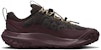 Nike ACG Mountain Fly 2 Low GORE-TEX 'Velvet Brown' Lelaki Perempuan HF6245-200