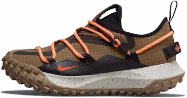 Nike ACG Mountain Fly Low GORE-TEX SE 'Brown' DD2861-100 Nike ACG Mountain Fly Low GORE-TEX SE 'Brown' DD2861-100