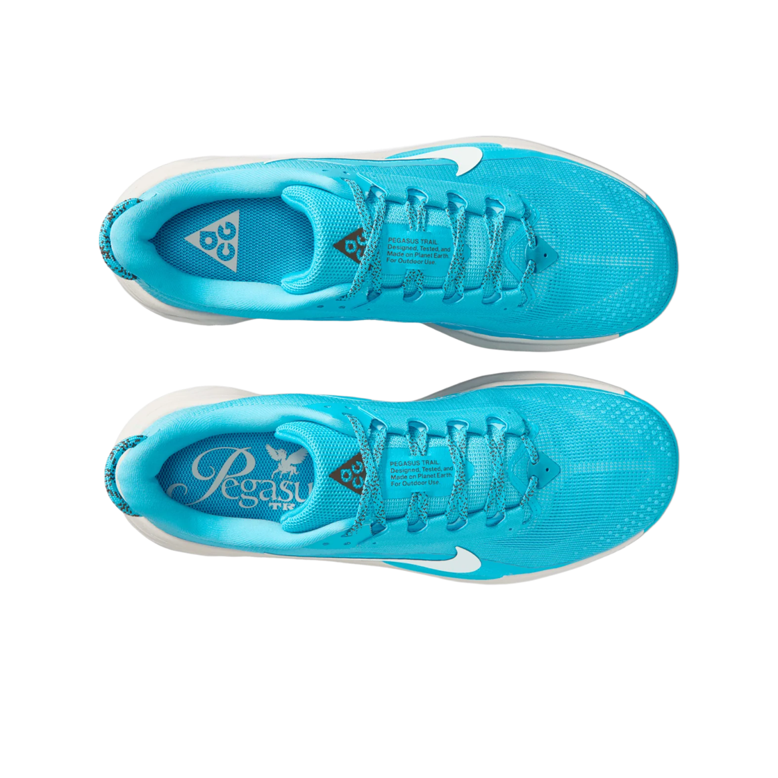 Order Nike ACG Pegasus Trail 'Baltic Blue Summit White' HV8116-400