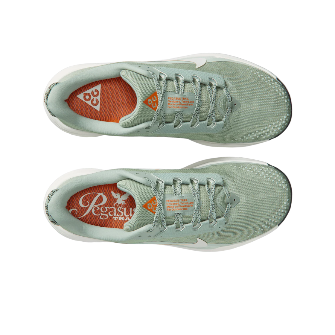 Order Nike ACG Pegasus Trail 'Jade Horizon' HV8116-310