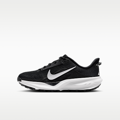 Nike ACG Pegasus Trail Black/Anthracite/Summit White IH2305-001