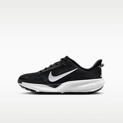 Nike ACG Pegasus Trail Black/Anthracite/Summit White IH2305-001 Buy Nike ACG Pegasus Trail Black/Anthracite/Summit White IH2305-001