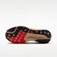 Order Nike ACG Pegasus Trail GORE-TEX Rouge Clair/Lin/Noir IQ1084-600