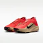 Purchase Nike ACG Pegasus Trail GORE-TEX Rouge Clair/Lin/Noir IQ1084-600