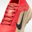 Sizing Nike ACG Pegasus Trail GORE-TEX Rouge Clair/Lin/Noir IQ1084-600