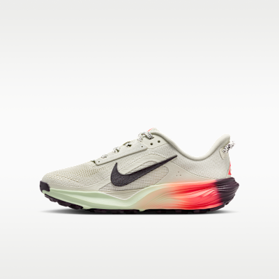 Nike ACG Pegasus Trail Sea Glass/Light Silver/Team Crimson/Burgundy Ash IH2305-002