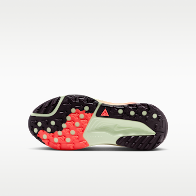 Order Nike ACG Pegasus Trail Vetro di Mare/Argento Chiaro/Bordeaux/Crimson Team IH2305-002